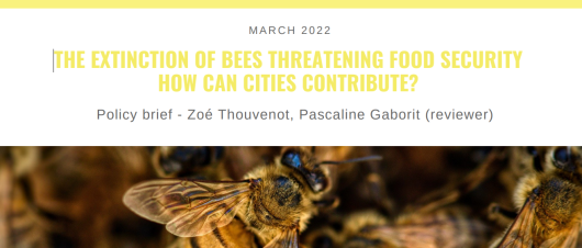 POLICY BRIEF N°7 - THE EXTINCTION OF BEES THREATENING FOOD SECURITY: HOW CAN CITIES CONTRIBUTE?